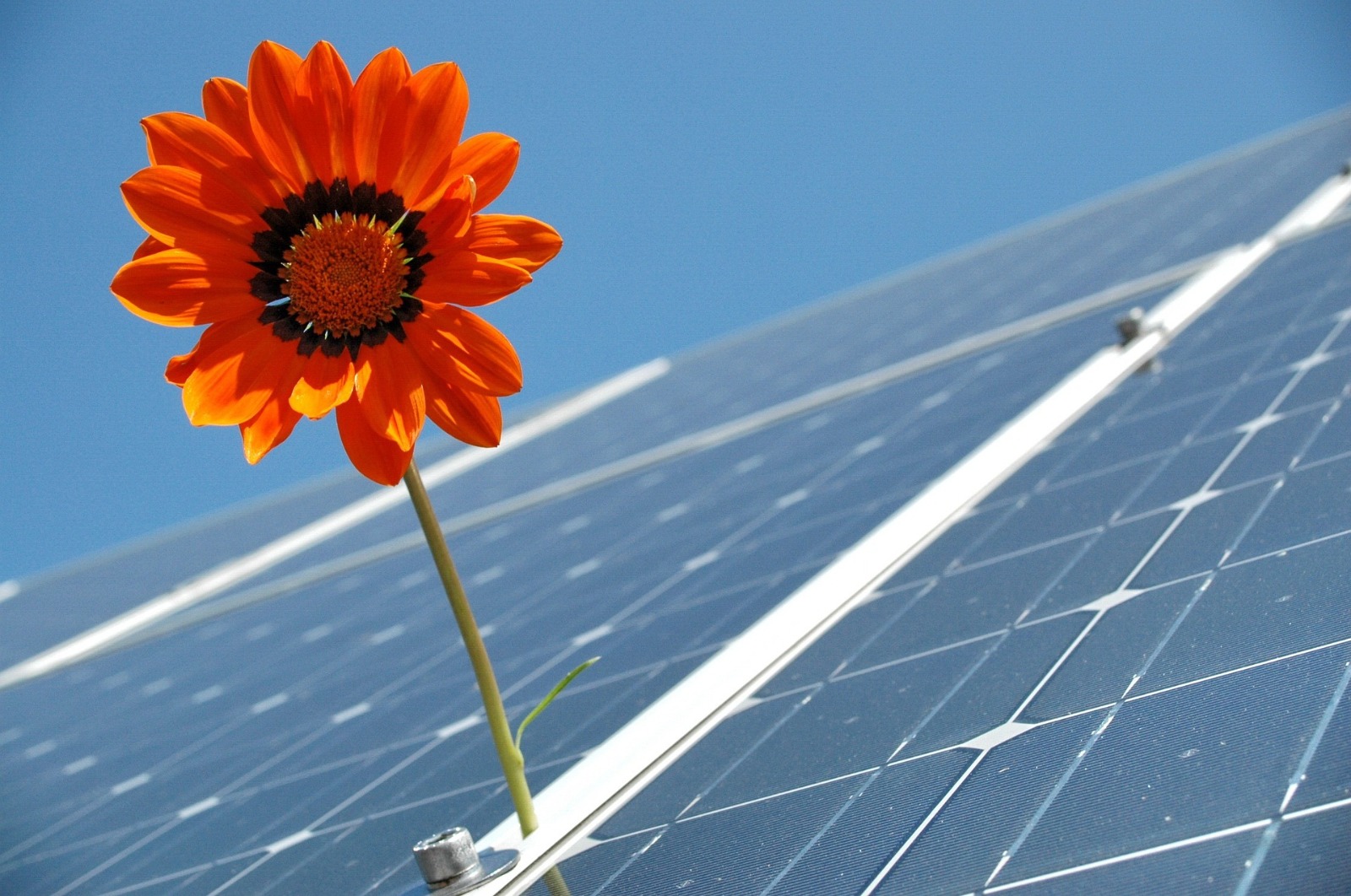 Installer un panneau solaire : une solution écologique pour les seniors