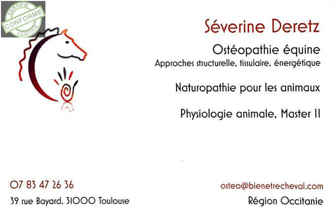Ostéopathie animale à Toulouse