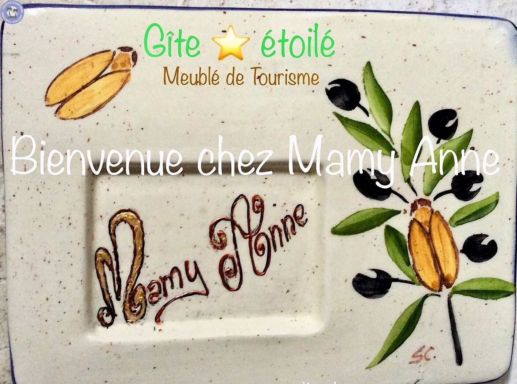 Gites-amp-Chambres-d-hotes-Provence-Alpes-Cote-d-Azur-Vaucluse-GITE-DE-MAMY-ANNE6121325375354647779.jpg