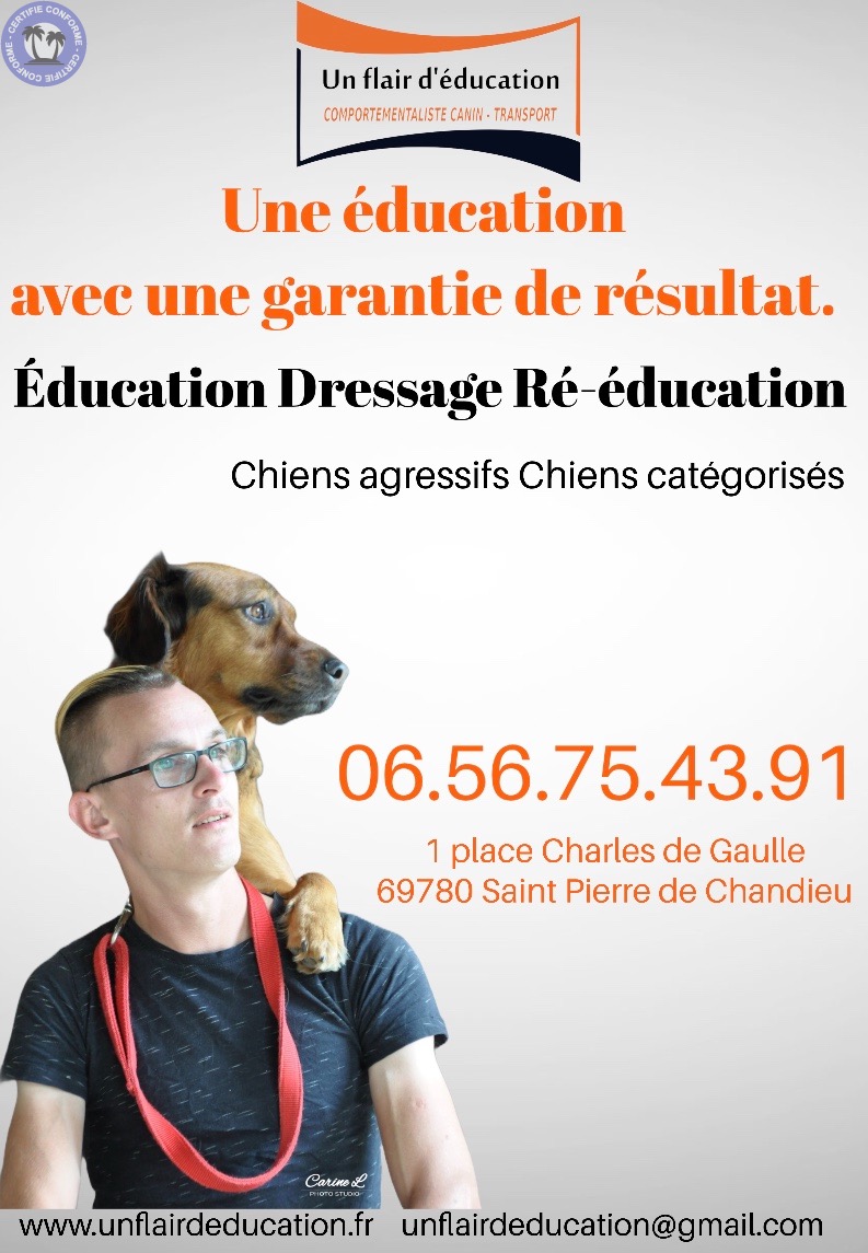 Educateur-d-animaux-Auvergne-Rhone-Alpes-Rhone-Educateur-canin14262730353749676873.jpeg