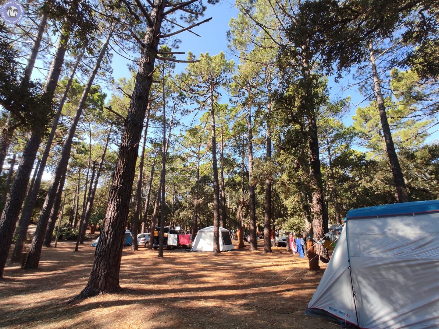 camping-corse-corse-du-sud-camping-paisible-a-deux-pas-de-porto-vecchio8111433343541426368.jpg