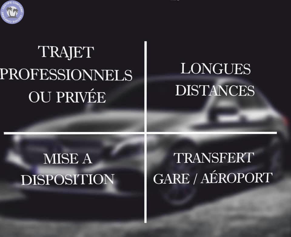 transport-demenagement-ile-de-france-paris-chauffeur-prive-taxi-0192332435152626577.jpeg