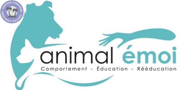 educateur-d-animaux-auvergne-rhone-alpes-loire-comportementaliste-canin-et-felin-educatrice-canin341329424554667074.jpeg