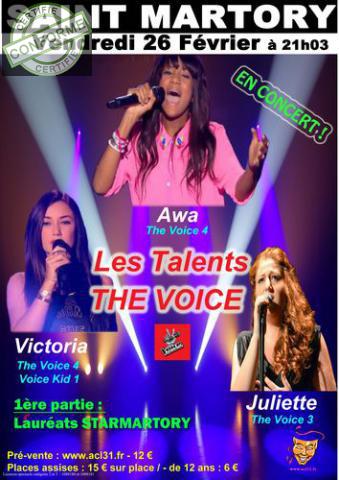 Les Talents de the Voice en concert à Saint-martory