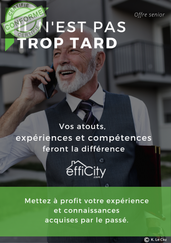 Offre-d-emploi-Seniors-Lucerne-Consultant-immobilier-independant-trp4ti7268.png
