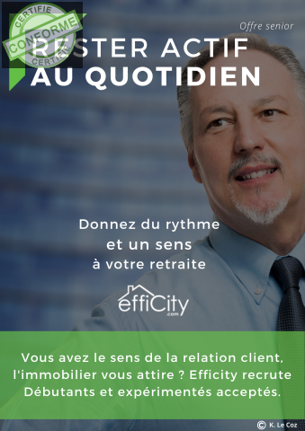 Offre-d-emploi-Seniors-Lucerne-Consultant-immobilier-independant-2aidd0id31.png