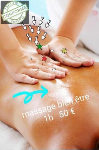 Bien-etre-amp-Massages-Auvergne-Rhone-Alpes-Isere-Massage-Californien-a-domicile-pour-femme-50-1h-2yi41qd582.jpg