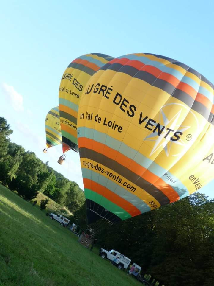Activites-aeriennes-Centre-Val-de-Loire-Loir-et-Cher-Vol-en-montgolfiere6233338414454646769.jpg