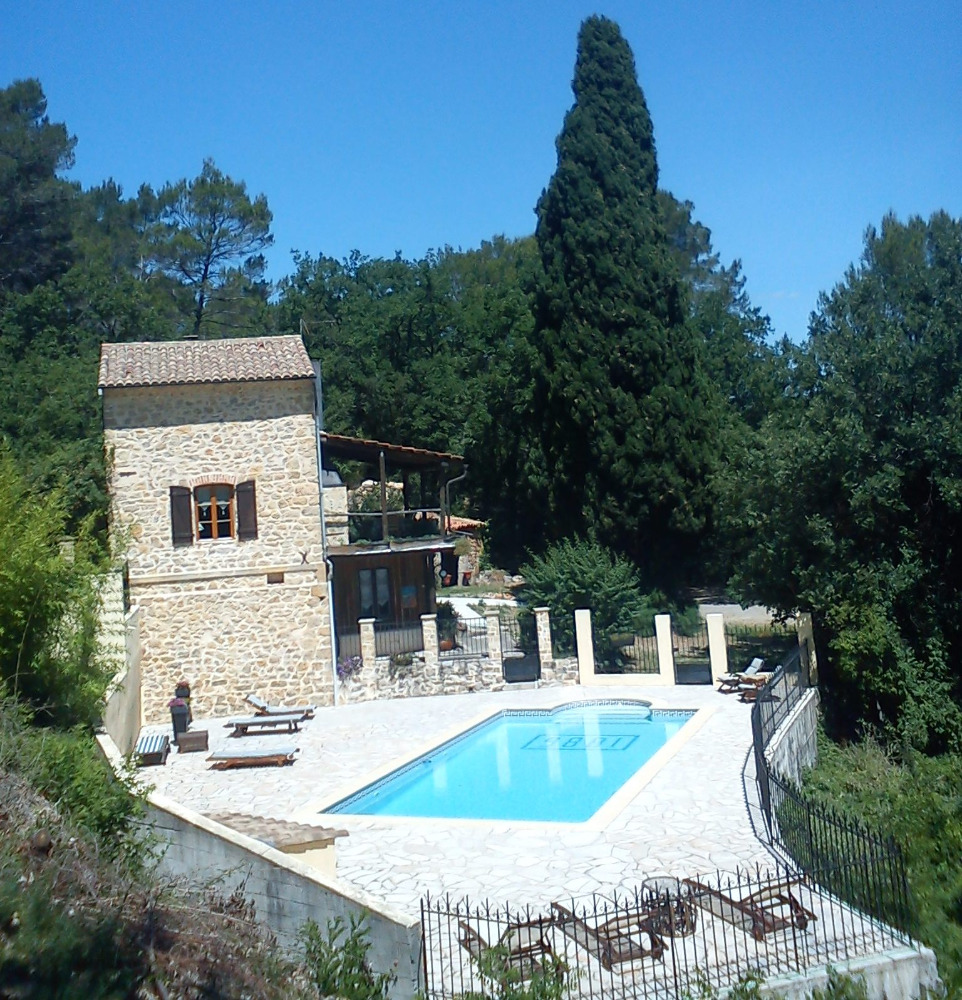 Location-saisonniere-Provence-Alpes-Cote-d-Azur-Var-PROVENCE-maison-avec-grande-piscine-piscine1192027415160626473.jpg