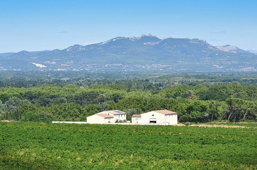 Gastronomie-Provence-Alpes-Cote-d-Azur-Vaucluse-Degustation-et-visite-d-un-domaine-en-Chateauneuf-du-Pape5789192329666876.jpg