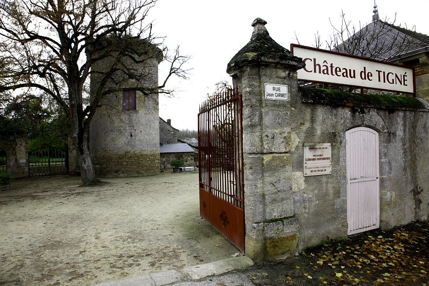 Gastronomie-Grand-Est-Bas-Rhin-La-cave-a-vins-Absigns-de-Gerard-Depardieu-581113244851555972.jpg