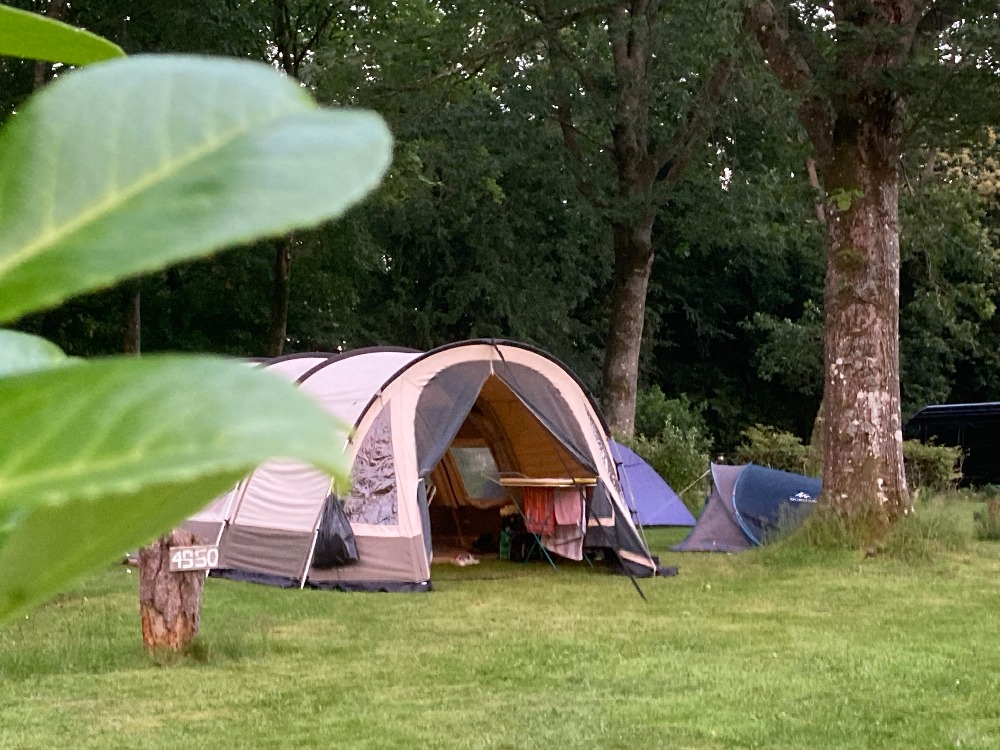 camping-bretagne-morbihan-camping-ecologique-le-lac-o-fees-via-natura-bretagne-BRETAGNE1142224303740525466.jpg