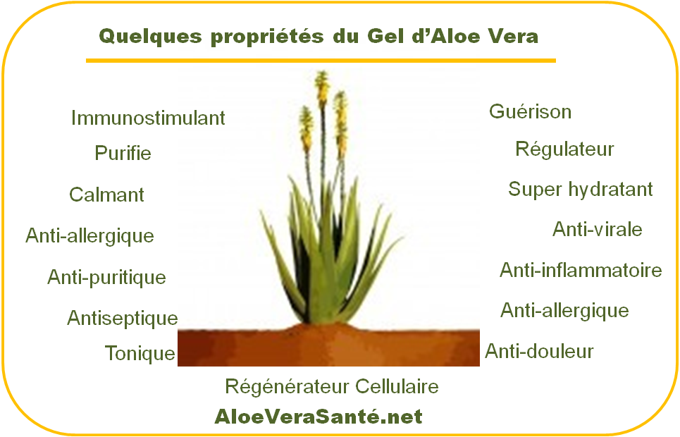 bien-etre-amp-massages-occitanie-haute-garonne-devenez-partenaire-partenaire6102527485562667074.png