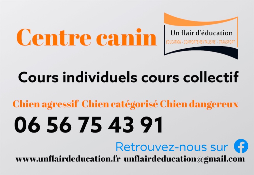 Educateur-d-animaux-Auvergne-Rhone-Alpes-Rhone-Educateur-canin681618213032394559.jpeg