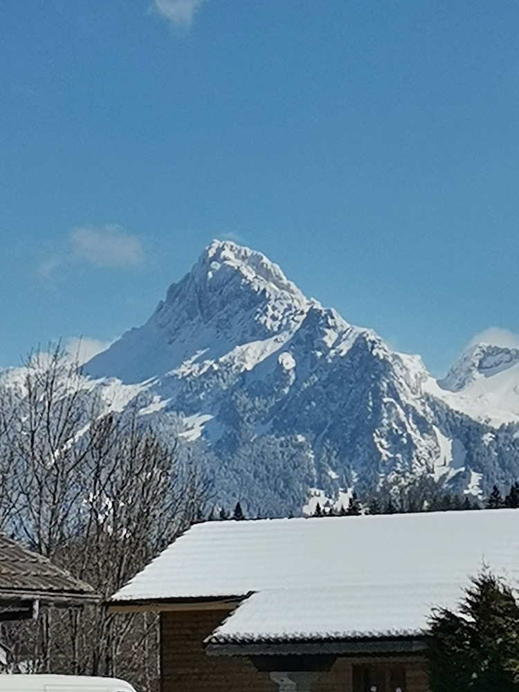 hotellerie-appenzell-rhodes-ext-chalets-independants-entre-lac-et-montagne-montagne491624384462657273.jpg
