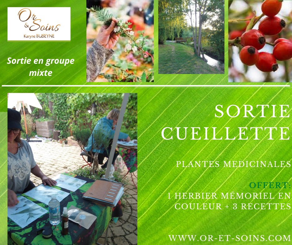 Soins-naturels-Bio-Ile-de-France-Seine-et-Marne-Soins-et-remedes-naturels-BIO9121316173447566070.png