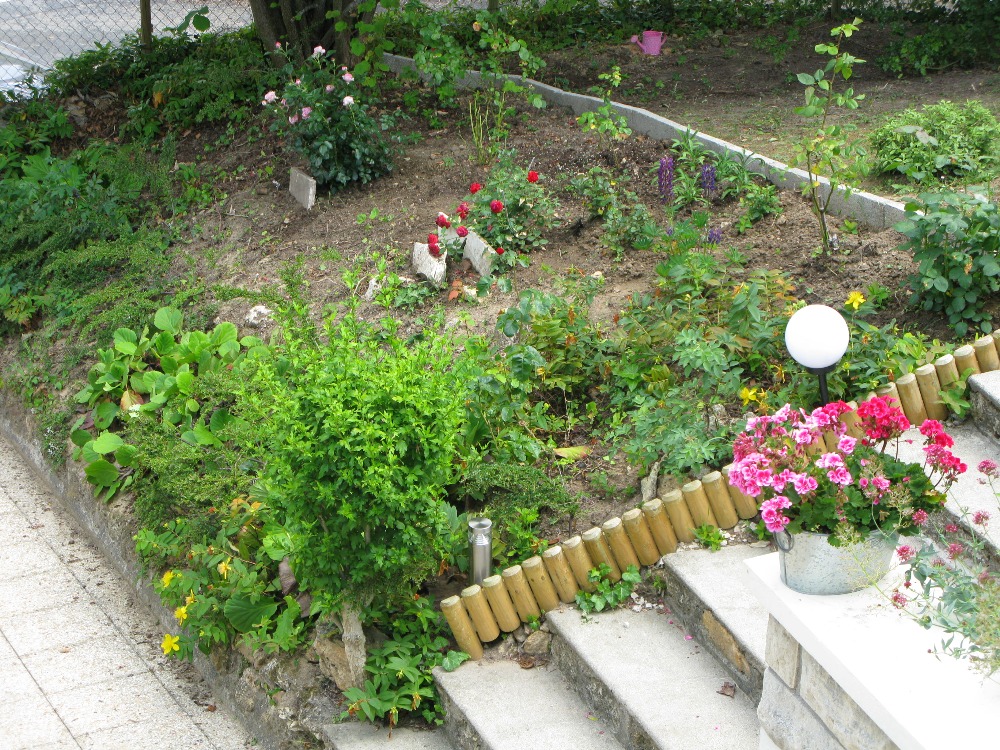jardinage-ile-de-france-yvelines-vexin-presta-jardin-amp-renov13283943454867697375.jpg