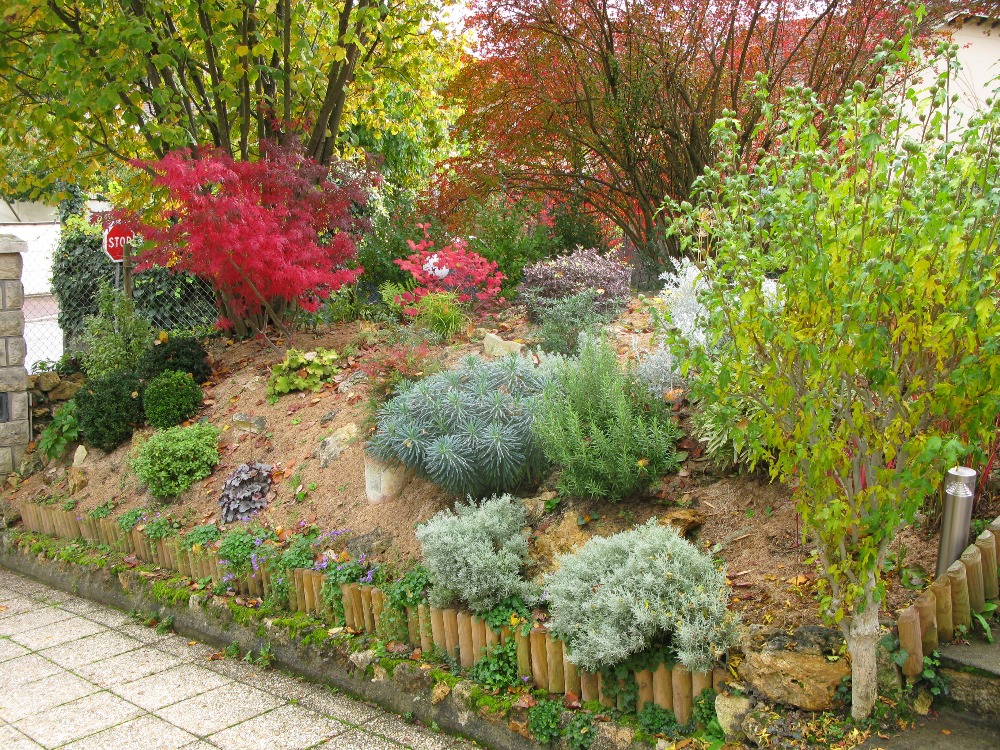 jardinage-ile-de-france-yvelines-vexin-presta-jardin-amp-renov20272836404251676979.jpg