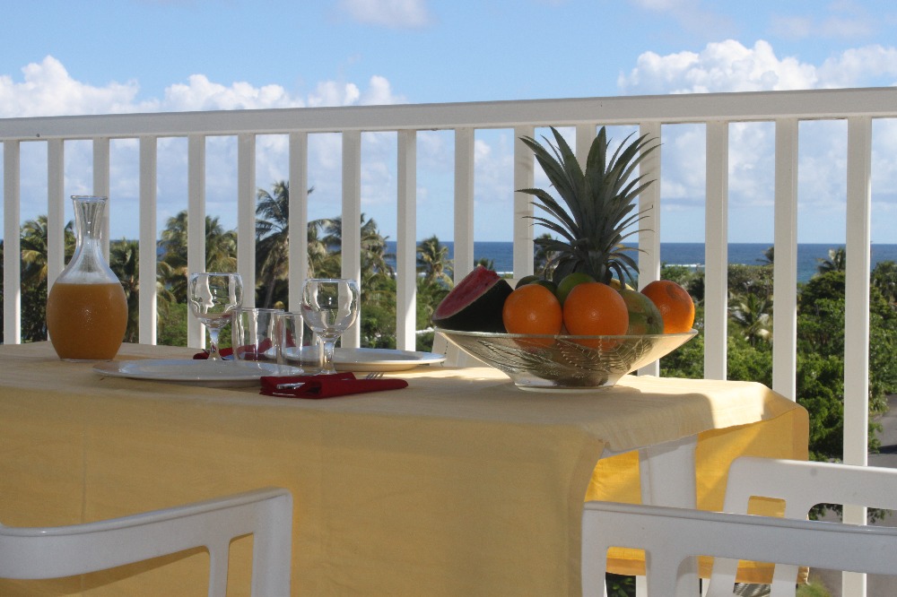 location-saisonniere-guadeloupe-residence-tropicale3192237515459677374.jpg