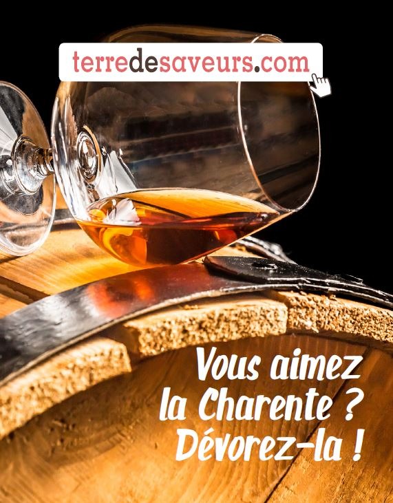 gastronomie-nouvelle-aquitaine-charente-terre-de-saveurs-pour-terre-des-seniors2161934444859606674.jpg