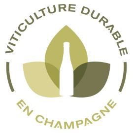 gastronomie-grand-est-marne-differents-champagnes-au-sein-d-une-meme-exploitation6192227374553637879.jpg