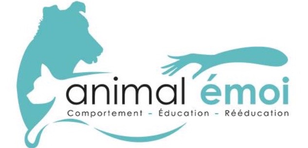 educateur-d-animaux-auvergne-rhone-alpes-loire-comportementaliste-canin-et-felin-educatrice-canin341329424554667074.jpeg