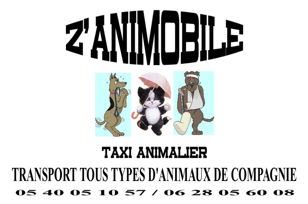 service-divers-nouvelle-aquitaine-gironde-z-animobile-taxi-animalier-gironde-33-begles-10212439424347495662.jpg