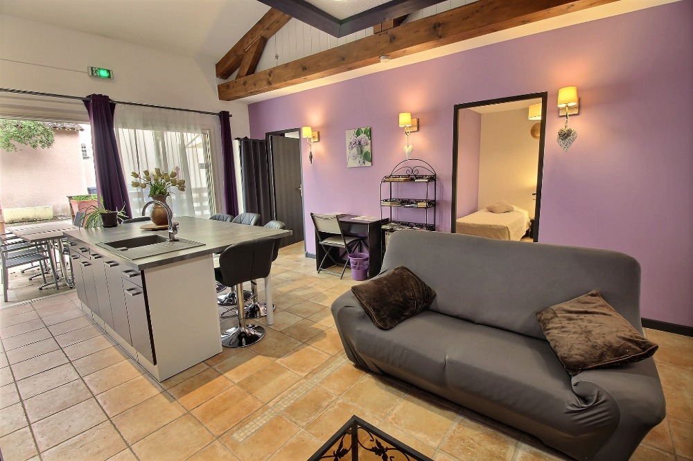 immobilier-provence-alpes-cote-d-azur-vaucluse-maison-meublee-tout-confort11222526282940415055.jpg