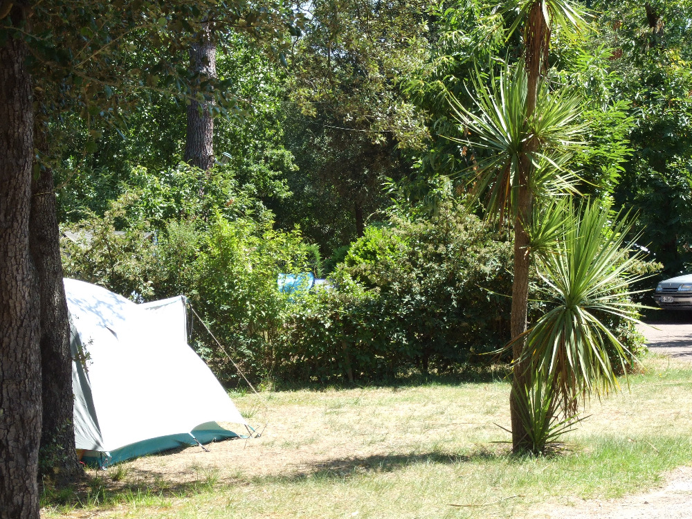 camping-nouvelle-aquitaine-charente-maritime-sejours-sympas-sur-l-ile-d-oleron-oleron791430314555607578.jpg