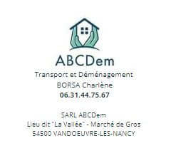 transport-demenagement-grand-est-meurthe-et-moselle-transport-demenagement-demenagement061522374365666869.png