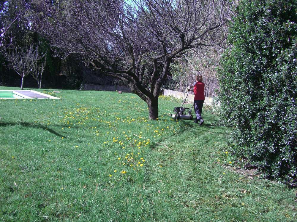 jardinage-occitanie-gard-entretien-de-votre-jardin-avec-credit-d-impot-1103041505253727379.jpg