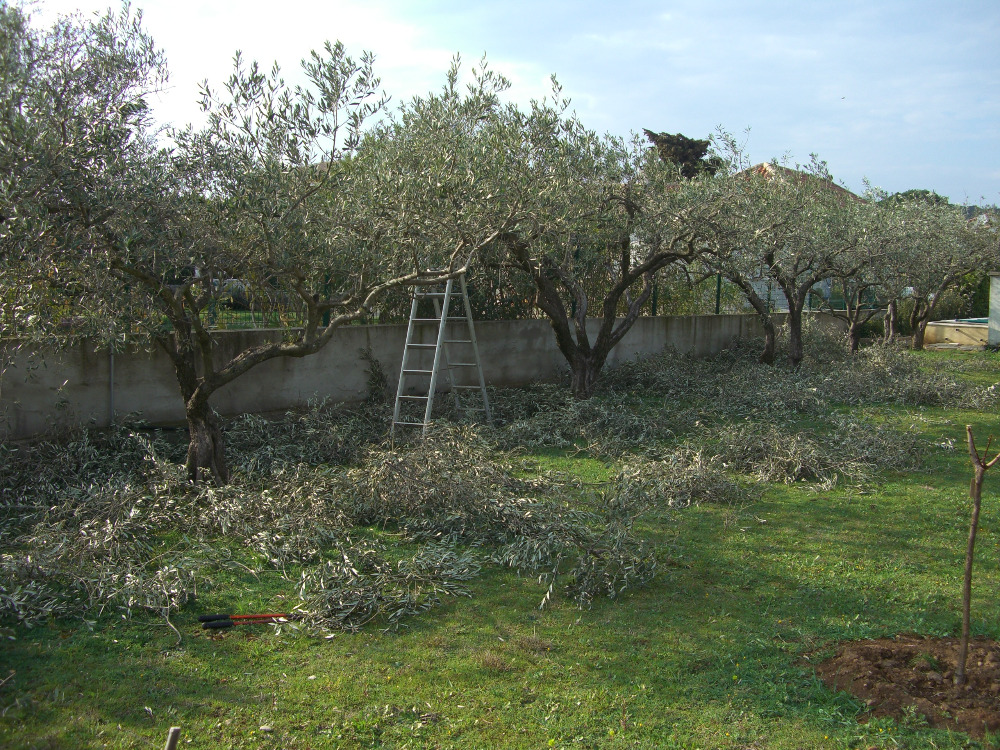 jardinage-occitanie-gard-entretien-de-votre-jardin-avec-credit-d-impot-561424273134505475.jpg